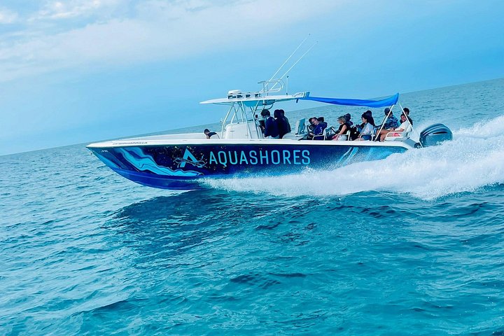 Speedboottour in Exuma Cays, Bahama's, met zwemmende varkens, leguanen en verpleegsterhaaien, foto 38 | wizardtrip