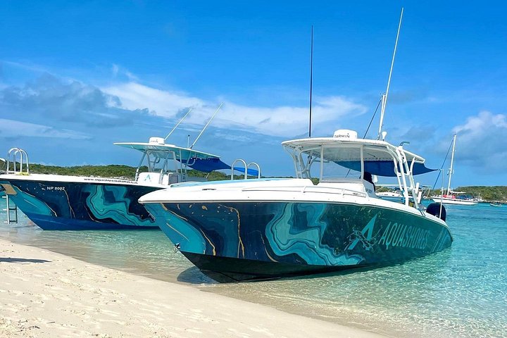 Speedboottour in Exuma Cays, Bahama's, met zwemmende varkens, leguanen en verpleegsterhaaien, foto 39 | wizardtrip