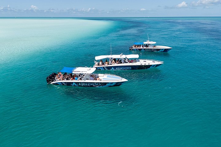 Speedboottour in Exuma Cays, Bahama's, met zwemmende varkens, leguanen en verpleegsterhaaien, foto 41 | wizardtrip