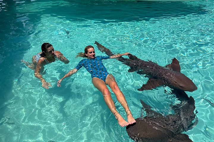 Speedboottour in Exuma Cays, Bahama's, met zwemmende varkens, leguanen en verpleegsterhaaien, foto 42 | wizardtrip