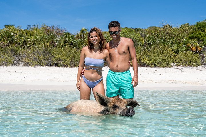 Speedboottour in Exuma Cays, Bahama's, met zwemmende varkens, leguanen en verpleegsterhaaien, foto 45 | wizardtrip