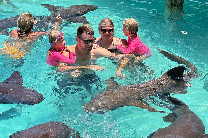 Speedboottour in Exuma Cays, Bahama's, met zwemmende varkens, leguanen en verpleegsterhaaien, foto 48 | wizardtrip