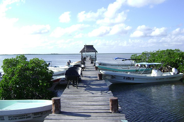 Erkunden Sie das Biosphärenreservat Sian Ka'an per Boot, entdecken Sie Tierwelt und schnorcheln Sie in Tulum, Mexiko, Foto 8 | wizardtrip