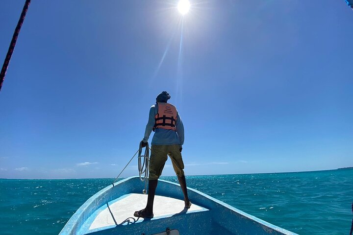 Erkunden Sie das Biosphärenreservat Sian Ka'an per Boot, entdecken Sie Tierwelt und schnorcheln Sie in Tulum, Mexiko, Foto 11 | wizardtrip