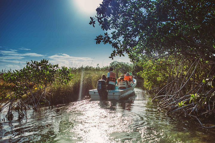 Explore ruínas maias e flutue em um rio lento nas reservas naturais de Tulum, foto 8 | wizardtrip
