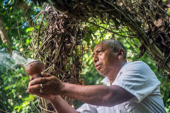 Explore Mayan ruins, lush jungles, and cenotes on a full-day tour from Tulum, photo 6 | wizardtrip