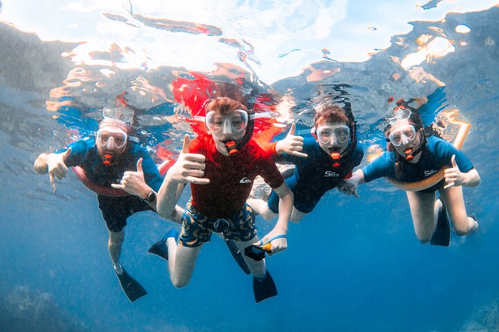 Snorkleeventyr på Maui til Molokini-krateret og Turtle Town, foto 10 | wizardtrip