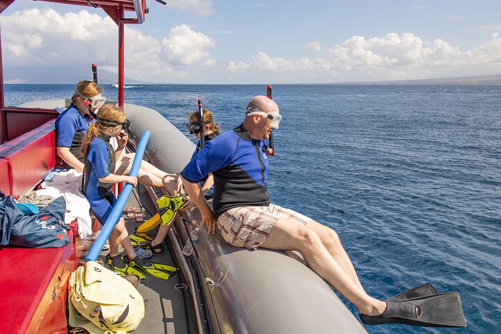 Snorkleeventyr på Maui til Molokini-krateret og Turtle Town, foto 11 | wizardtrip