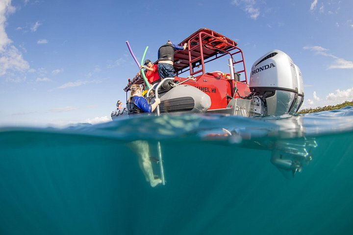 Snorkleeventyr på Maui til Molokini-krateret og Turtle Town, foto 12 | wizardtrip