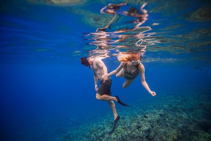 Snorkleeventyr på Maui til Molokini-krateret og Turtle Town, foto 14 | wizardtrip
