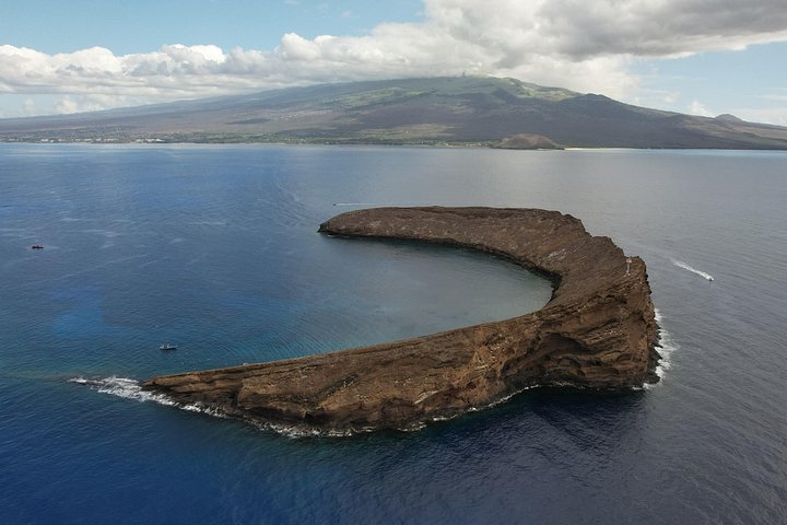 Snorkleeventyr på Maui til Molokini-krateret og Turtle Town, foto 15 | wizardtrip