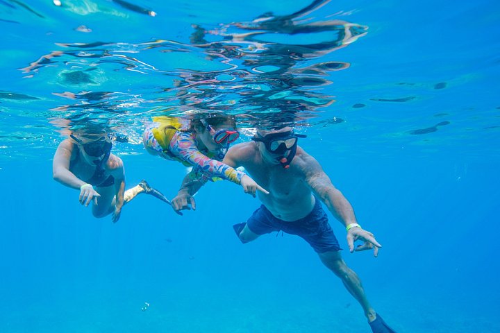 Snorkleeventyr på Maui til Molokini-krateret og Turtle Town, foto 17 | wizardtrip