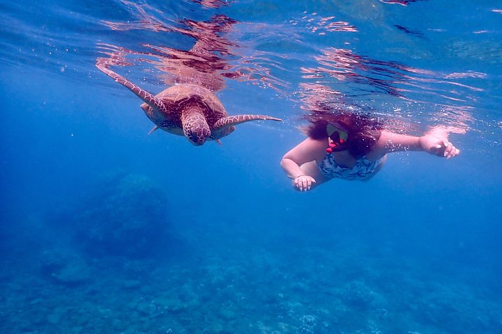 Snorkleeventyr på Maui til Molokini-krateret og Turtle Town, foto 25 | wizardtrip