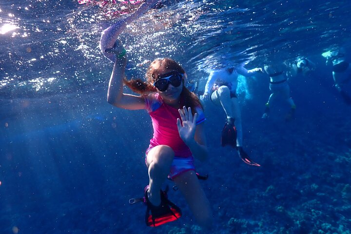 Snorkleeventyr på Maui til Molokini-krateret og Turtle Town, foto 30 | wizardtrip