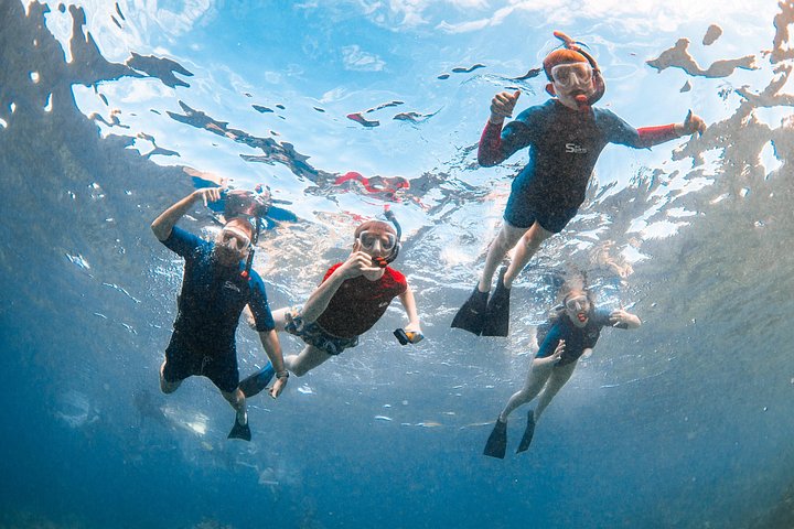 Snorkleeventyr på Maui til Molokini-krateret og Turtle Town, foto 36 | wizardtrip