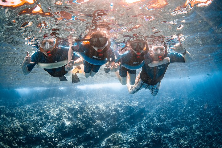 Snorkleeventyr på Maui til Molokini-krateret og Turtle Town, foto 38 | wizardtrip