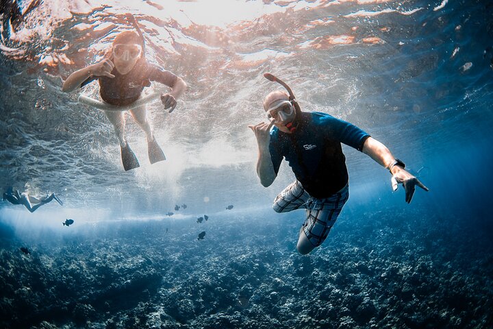 Snorkleeventyr på Maui til Molokini-krateret og Turtle Town, foto 39 | wizardtrip