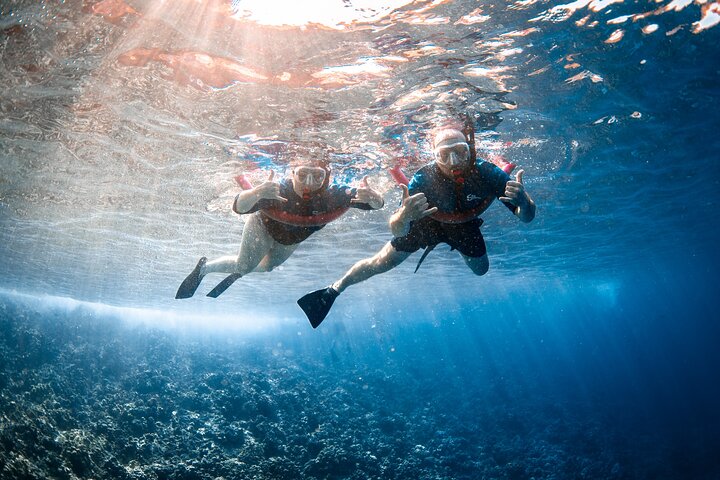 Snorkleeventyr på Maui til Molokini-krateret og Turtle Town, foto 40 | wizardtrip
