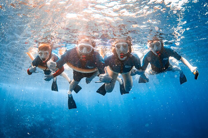 Snorkleeventyr på Maui til Molokini-krateret og Turtle Town, foto 41 | wizardtrip
