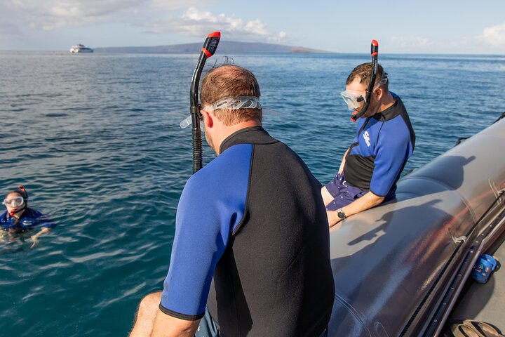 Snorkleeventyr på Maui til Molokini-krateret og Turtle Town, foto 43 | wizardtrip