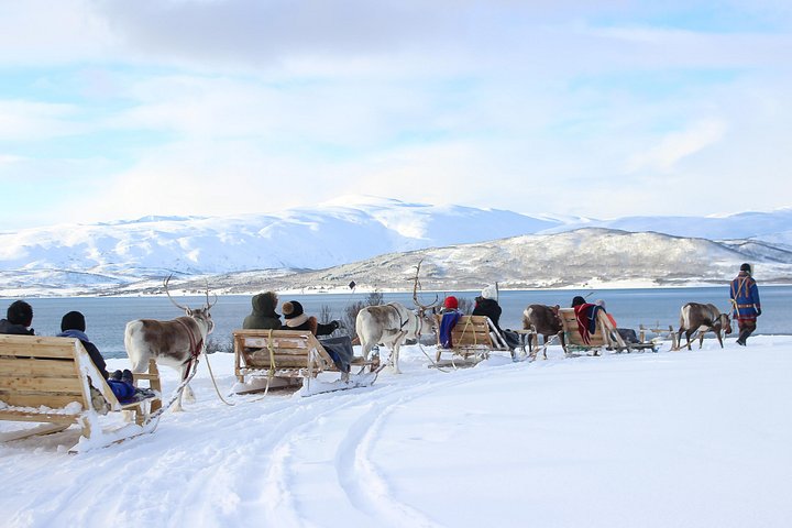 Rendierslederen en Sami Cultuur Tour vanuit Tromsø | wizardtrip