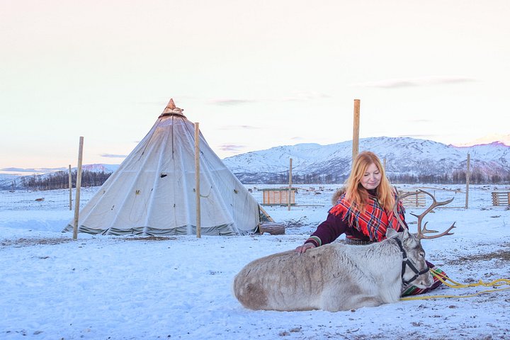 Ervaar rendierslederen en Sami cultuur met een slee tour, het voeren van rendieren en een traditionele maaltijd in Tromsø, foto 10 | wizardtrip