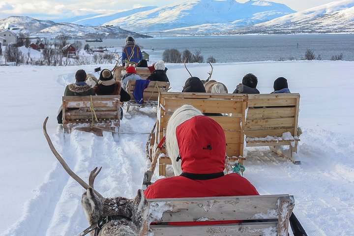 Sami Cultuur en Korte Rendiersledetocht vanuit Tromsø | wizardtrip