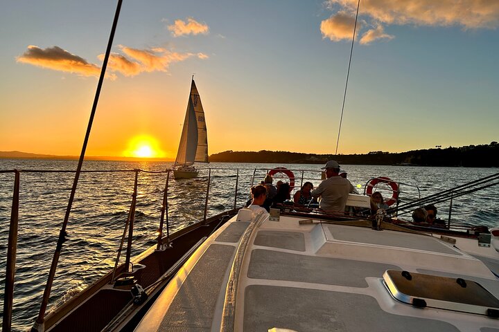 Auckland Harbour Sailboat Cruise with Three-Course Dinner | wizardtrip