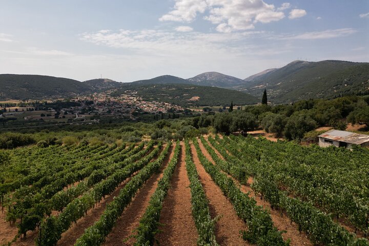 Tour des vins de Céphalonie | wizardtrip