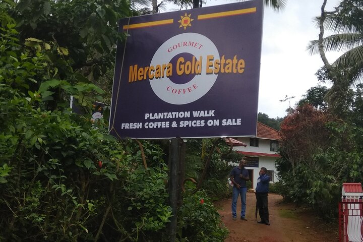 Visite de la plantation de café et d'épices Mercara Gold Coorg | wizardtrip