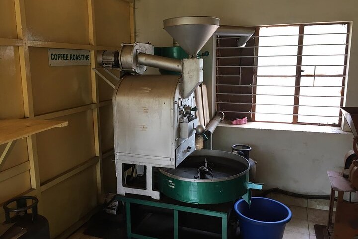 Eine malerische Kaffee- und Gewürzplantagen-Tour in Madikeri, Indien, mit üppigem Grün und Kaffeepflanzen, Foto 7 | wizardtrip