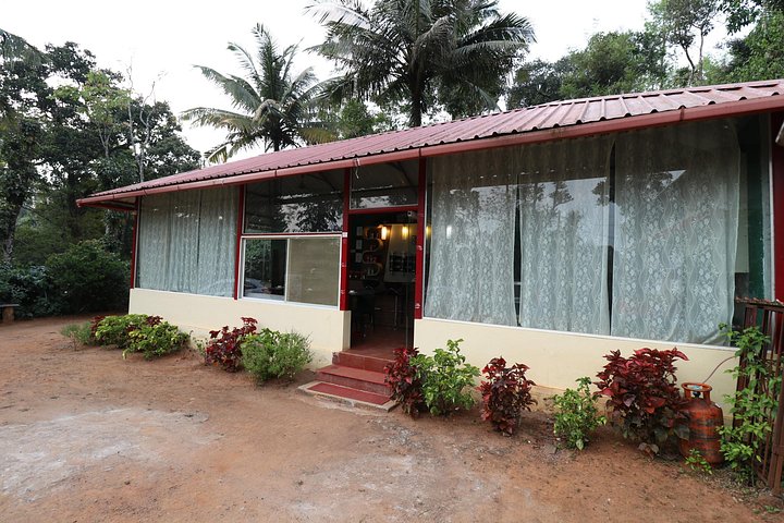 Eine malerische Kaffee- und Gewürzplantagen-Tour in Madikeri, Indien, mit üppigem Grün und Kaffeepflanzen, Foto 11 | wizardtrip