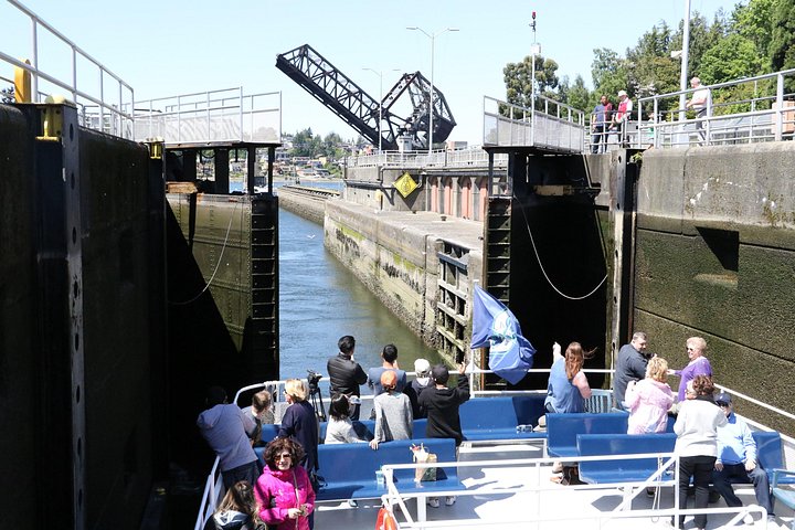 Malerische Bootstour durch die Wasserwege Seattles, einschließlich der Ballard Locks und der Skyline der Stadt, Foto 11 | wizardtrip