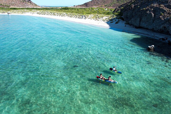 Aventure en bateau à Balandra : otaries, kayak et randonnée au paradis | wizardtrip
