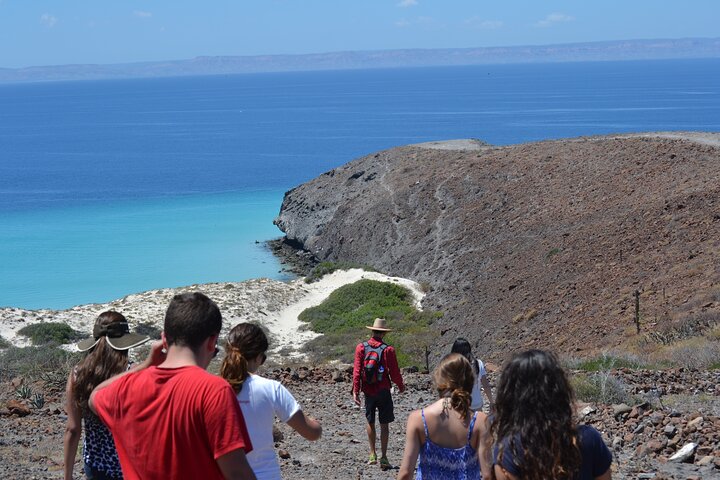 Bootstour in der Balandra-Bucht, Mexiko, mit Seelöwen, Kajak und Wanderung, Foto 10 | wizardtrip
