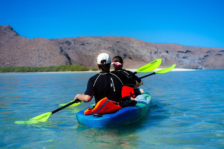 Bootstour in der Balandra-Bucht, Mexiko, mit Seelöwen, Kajak und Wanderung, Foto 13 | wizardtrip