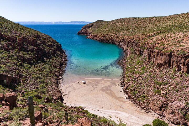 Aventure sur l'île Espiritu Santo : Snorkeling avec les otaries et plage | wizardtrip