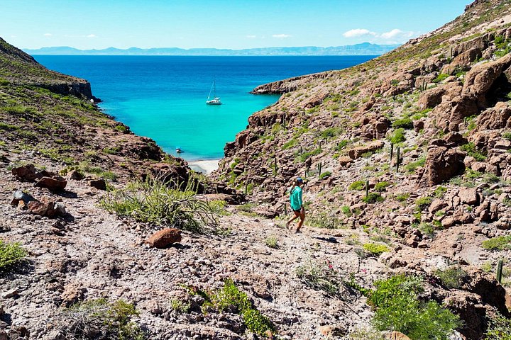 Schnorcheln Sie mit Seelöwen und erkunden Sie die wunderschöne Insel Espiritu Santo in La Paz, Mexiko, Foto 7 | wizardtrip