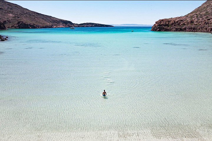 Schnorcheln Sie mit Seelöwen und erkunden Sie die wunderschöne Insel Espiritu Santo in La Paz, Mexiko, Foto 8 | wizardtrip