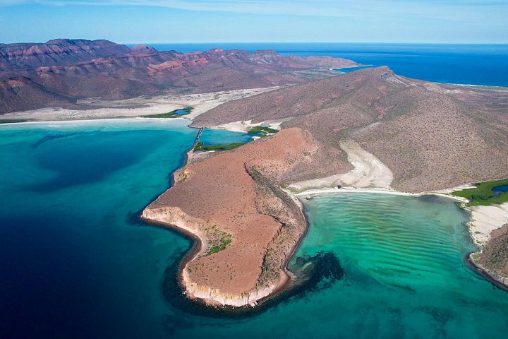 Schnorcheln Sie mit Seelöwen und erkunden Sie die wunderschöne Insel Espiritu Santo in La Paz, Mexiko, Foto 10 | wizardtrip