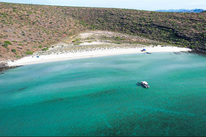 Schnorcheln Sie mit Seelöwen und erkunden Sie die wunderschöne Insel Espiritu Santo in La Paz, Mexiko, Foto 11 | wizardtrip