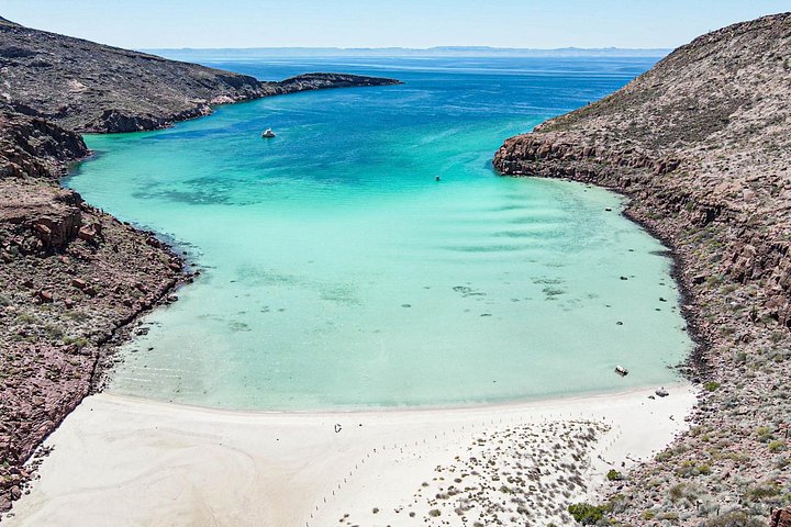 Schnorcheln Sie mit Seelöwen und erkunden Sie die wunderschöne Insel Espiritu Santo in La Paz, Mexiko, Foto 12 | wizardtrip