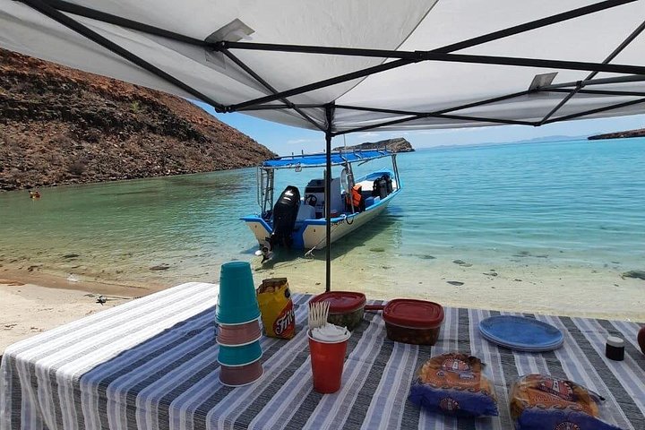 Schnorcheln Sie mit Seelöwen und erkunden Sie die wunderschöne Insel Espiritu Santo in La Paz, Mexiko, Foto 13 | wizardtrip