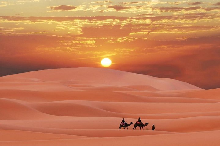 Vivez un safari exaltant dans le désert de Dubaï avec dune bashing, sandboard et spectacles, photo 22 | wizardtrip
