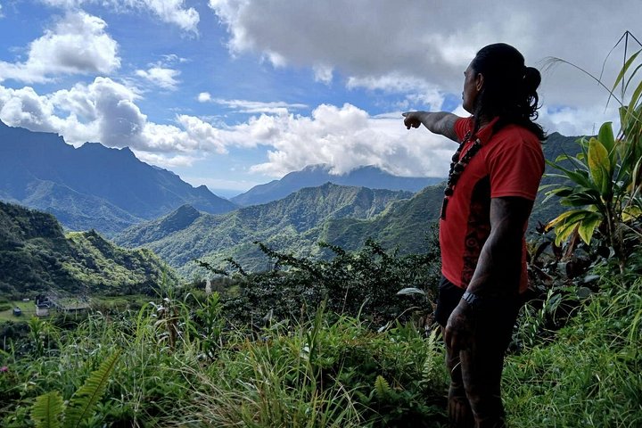 Eventyrlig 4x4-tur gjennom Tahitis frodige innland, med fossefall, fjell og naturlige bassenger, foto 7 | wizardtrip
