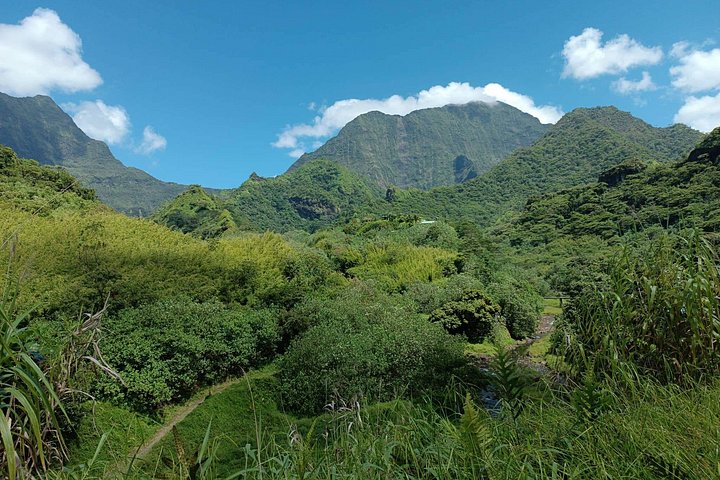 Eventyrlig 4x4-tur gjennom Tahitis frodige innland, med fossefall, fjell og naturlige bassenger, foto 9 | wizardtrip