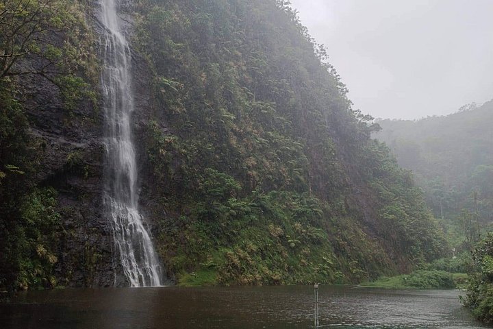 Eventyrlig 4x4-tur gjennom Tahitis frodige innland, med fossefall, fjell og naturlige bassenger, foto 13 | wizardtrip