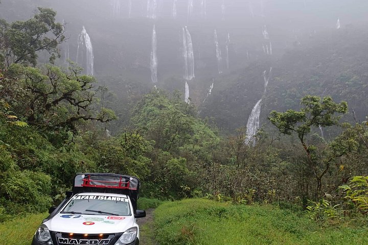 Eventyrlig 4x4-tur gjennom Tahitis frodige innland, med fossefall, fjell og naturlige bassenger, foto 14 | wizardtrip