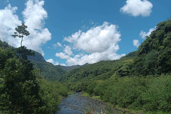 Eventyrlig 4x4-tur gjennom Tahitis frodige innland, med fossefall, fjell og naturlige bassenger, foto 17 | wizardtrip