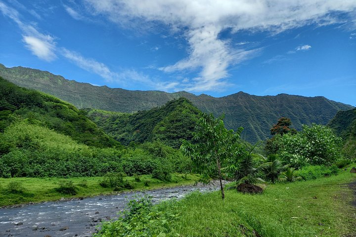Eventyrlig 4x4-tur gjennom Tahitis frodige innland, med fossefall, fjell og naturlige bassenger, foto 19 | wizardtrip